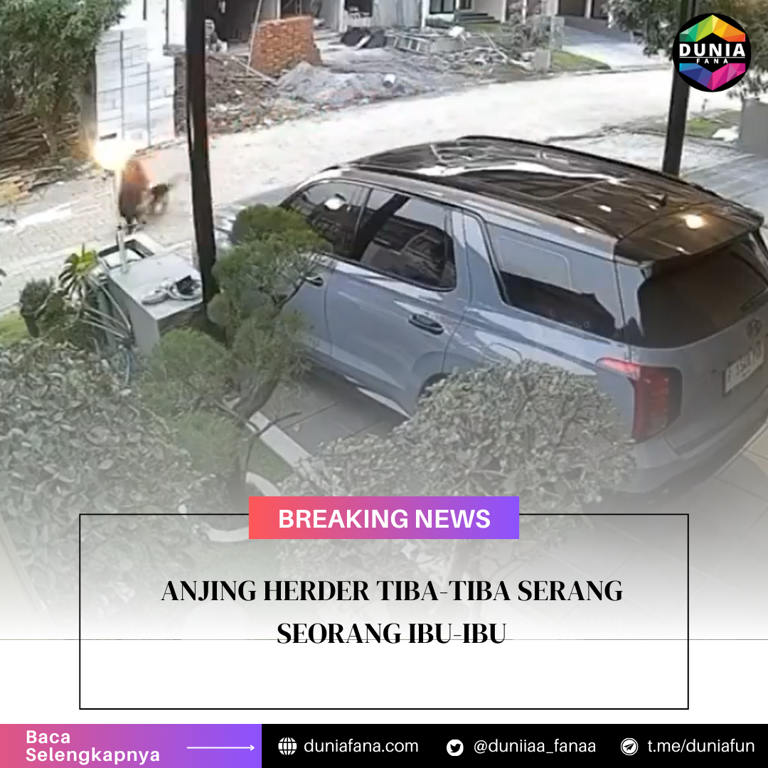 Anjing Herder Serang Seorang Ibu-Ibu